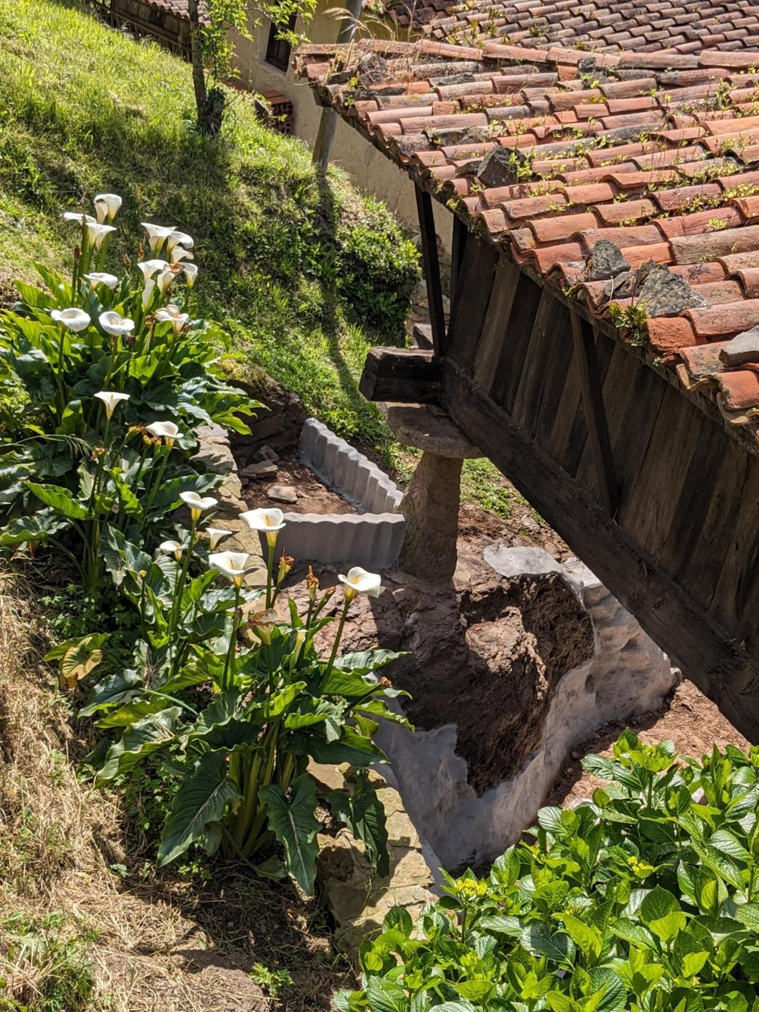 Las Casas De Isu Villaviciosa  Kültér fotó